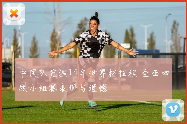 中国队重温14年世界杯征程 全面回顾小组赛表现与遗憾