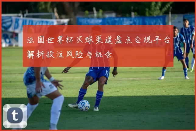 法国世界杯买球渠道盘点合规平台解析投注风险与机会