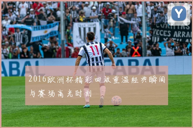 2016欧洲杯精彩回放重温经典瞬间与赛场高光时刻