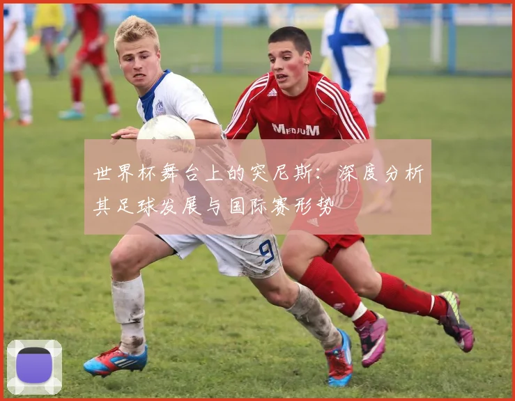 世界杯舞台上的突尼斯：深度分析其足球发展与国际赛形势
